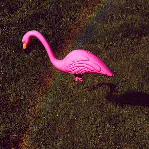 Lawn flamingo